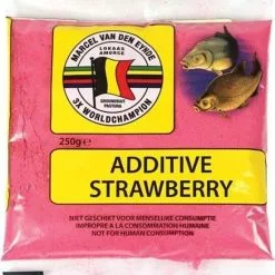 Strawberry Marcel Van Den Eynde