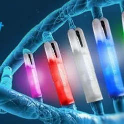 Delkim SlimLite Indication Set Purple 5 Delkim SlimLite Indication Set Purple -Karper Verkoop 2703728020