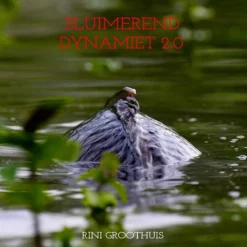 Westerlaan Publisher Sluimerend Dynamiet 2.0 - Het Laatste Testament - Rini Groothuis