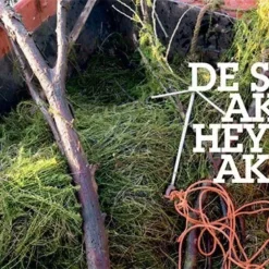 Westerlaan Publisher Bloed, Zweet En Granen - Alijn Danau -Karper Verkoop 2749756765