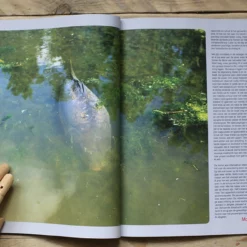 Monkey Climber 10° - Zomer 2016 8 Monkey Climber 10° - Zomer 2016 -Karper Verkoop 2749881571