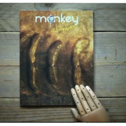 Monkey Climber 10° - Zomer 2016