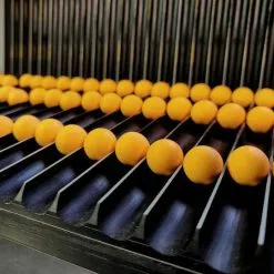 Forgotten Flavours Fireball Pop-ups -Karper Verkoop 2789107542