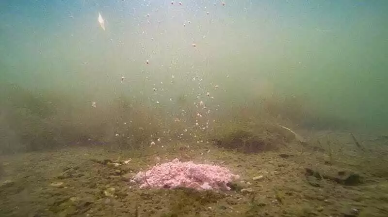 Nash Citruz Cultured Fizzing Stick Mix 3 Nash Citruz Cultured Fizzing Stick Mix - Afbeelding 3