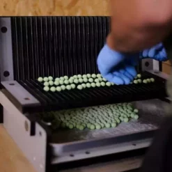 Forgotten Flavours Green Zing Pop-ups -Karper Verkoop 2893095228