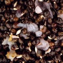 Nash Scopex Squid Hemp 2,5l 5 Nash Scopex Squid Hemp 2,5l -Karper Verkoop 2900013386