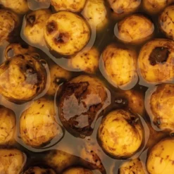 Nash Sweet Tiger Nuts 500ml -Karper Verkoop 2900029062