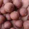 The Boilie Factory Ready Made Boilies Royal Spice - 20mm/5kg