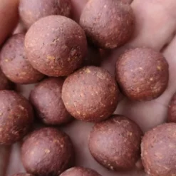 The Boilie Factory Ready Made Boilies Royal Spice - 20mm/5kg
