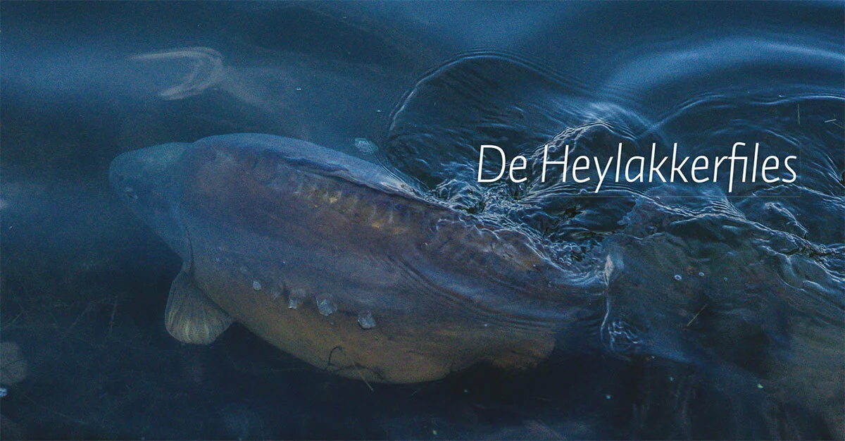 Westerlaan Publisher De Wraak Van De Weerhaak - Alijn Danau 2 Westerlaan Publisher De Wraak Van De Weerhaak - Alijn Danau - Afbeelding 2