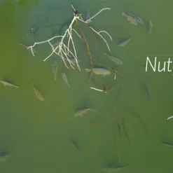 Westerlaan Publisher De Wraak Van De Weerhaak - Alijn Danau 10 Westerlaan Publisher De Wraak Van De Weerhaak - Alijn Danau -Karper Verkoop 3435768906