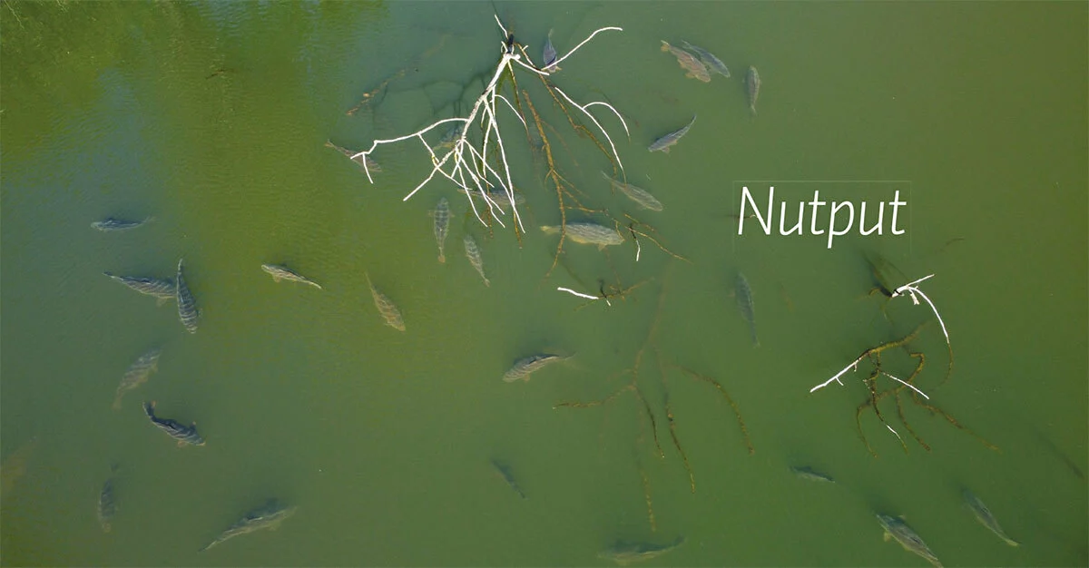 Westerlaan Publisher De Wraak Van De Weerhaak - Alijn Danau 4 Westerlaan Publisher De Wraak Van De Weerhaak - Alijn Danau - Afbeelding 4